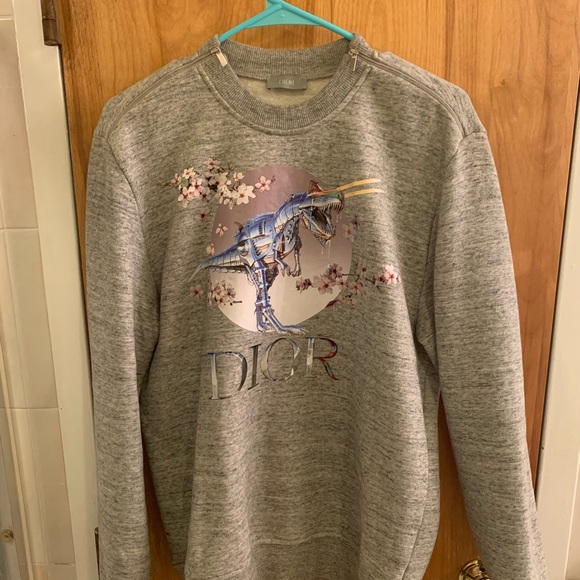 dior dinosaur sweater